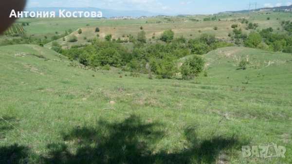 Продавам земя в с. лешница, община сандански