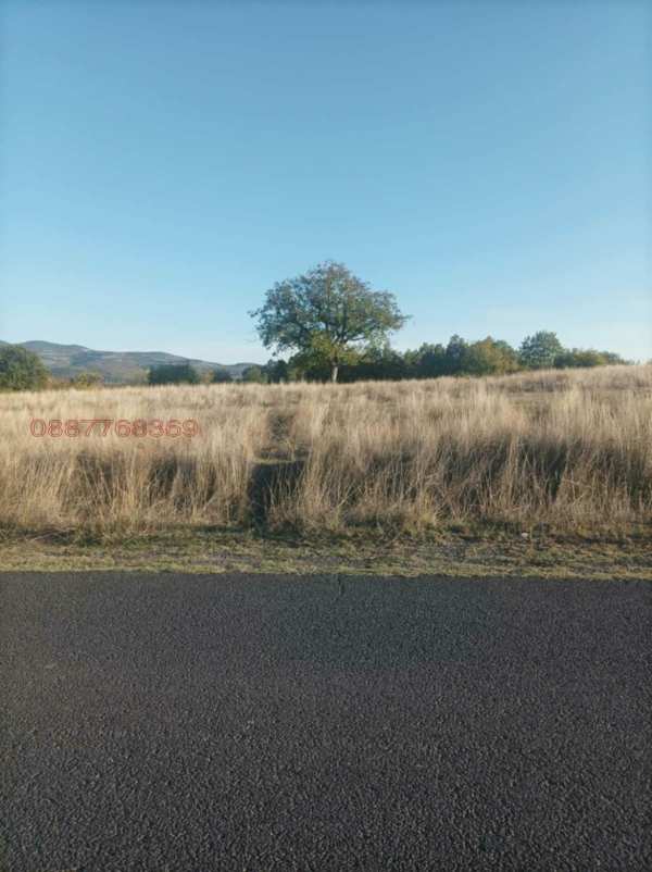 Продава земеделска земя, с. пепелище, област кърджали