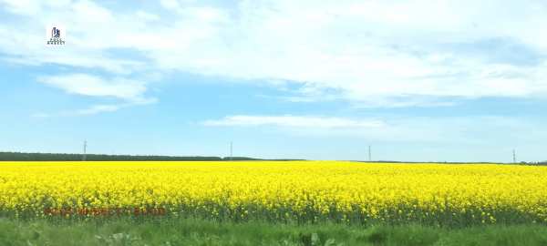 Продава парцел, гр. батак, област пазарджик