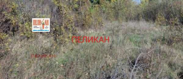 Продава парцел, с. поликраище, област велико търново