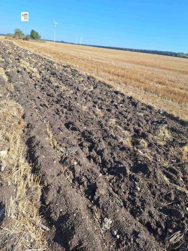 Продава земеделска земя, с. каменци, област силистра