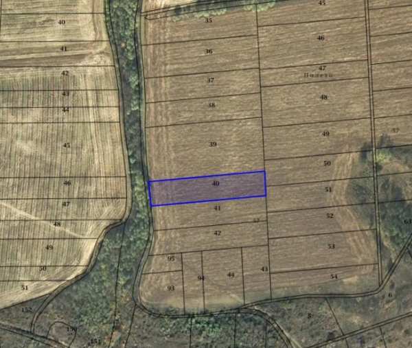 Продава земеделска земя, гр. дебелец, област велико търново