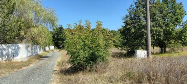 Продава парцел, с. велика, област бургас
