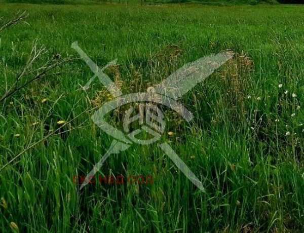 Продава парцел, с. йоаким груево, област пловдив