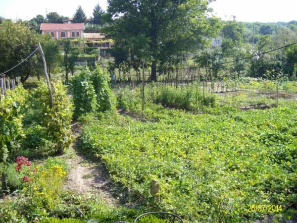 Продава парцел, с. радево, област варна