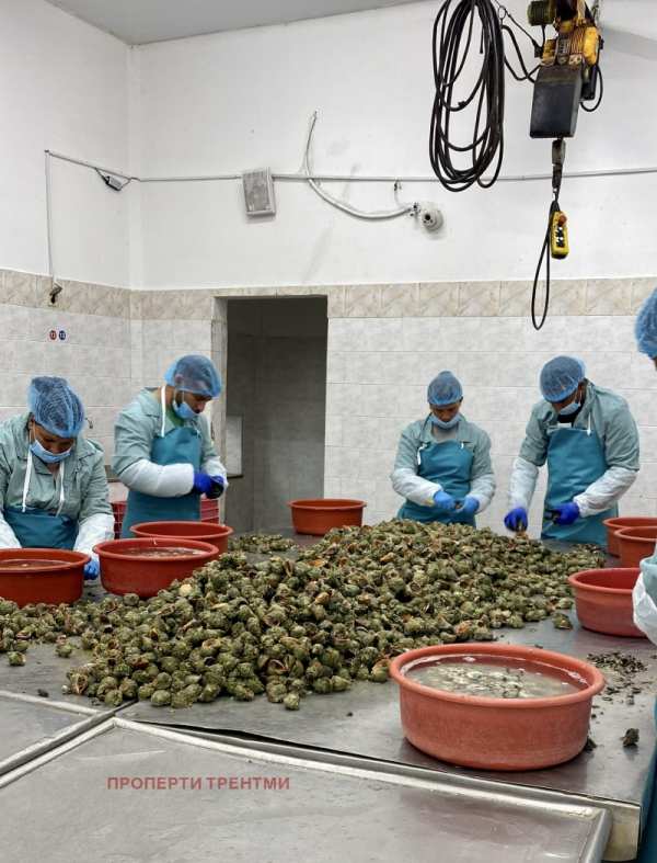 Продава бизнес имот, гр. сливен, промишлена зона