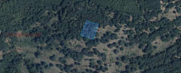 Продава земеделска земя, с. лешница, област ловеч