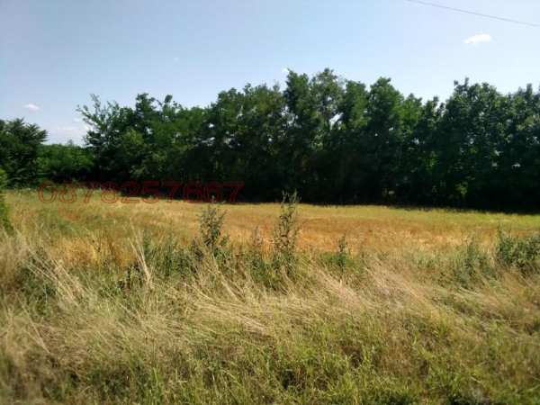 Продава парцел, гр. козлодуй, област враца