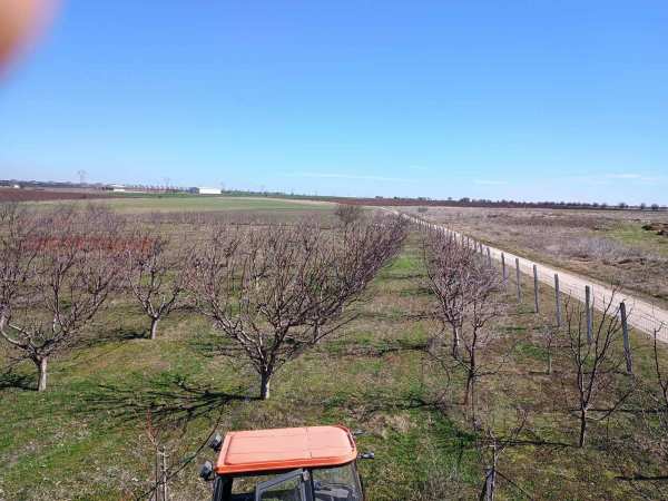 Продава земеделска земя, с. конуш, област пловдив