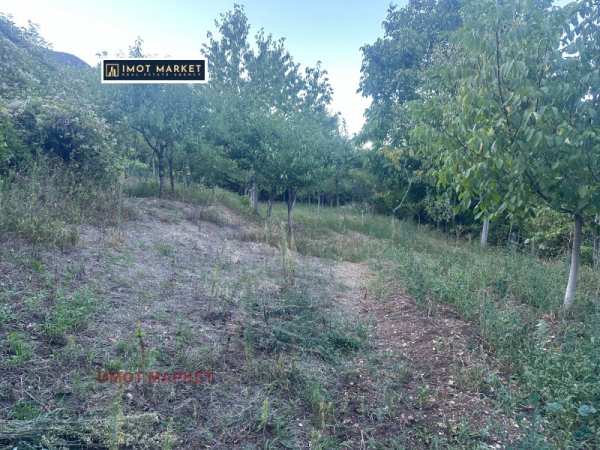 Продава парцел, с. паволче, област враца