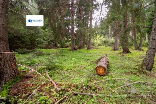 Продава парцел, с. говедарци, област софия област