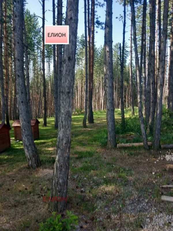 Продава земеделска земя, с. кладница, област перник