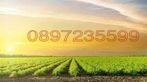 Продава  земеделска земя гр. Каварна, област Добрич
      1 дка