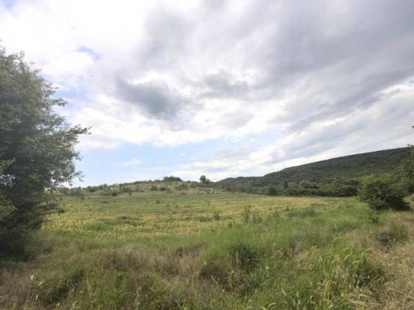 Продава  парцел с. Църква, област Добрич
      8305 кв.м