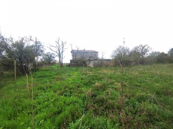 Продава парцел, с. божурец, област добрич