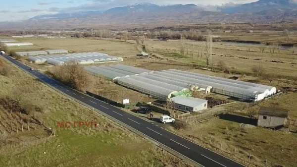 Продава земеделска земя, гр. сандански, област благоевград