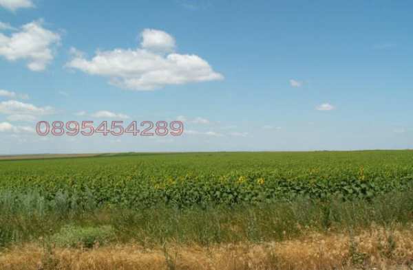 Продава земеделска земя, гр. вълчи дол, област варна