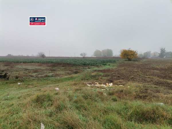 Продава земеделска земя, с. ивайло, област пазарджик
