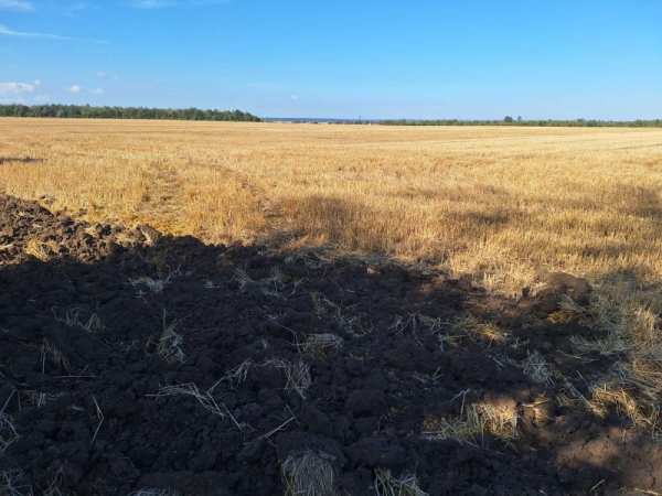 Продава земеделска земя, с. росен, област добрич