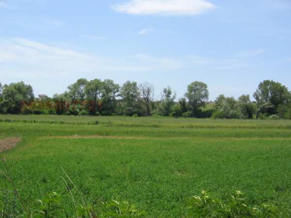 Продава парцел, с. драговищица, област софия област
