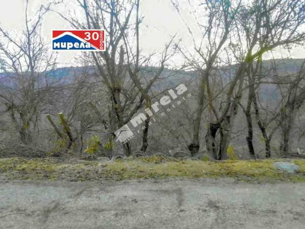 Продава парцел, с. малки чифлик, област велико търново