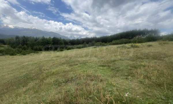 Продава парцел, гр. добринище, област благоевград