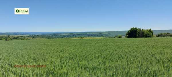 Продава парцел, с. здравец, област варна