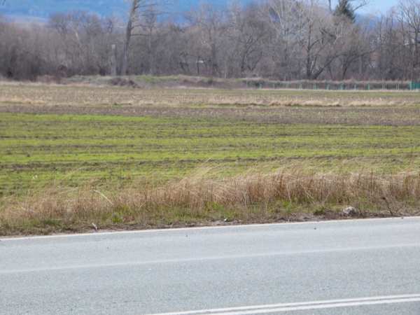 Продава парцел, гр. драгоман, област софия област