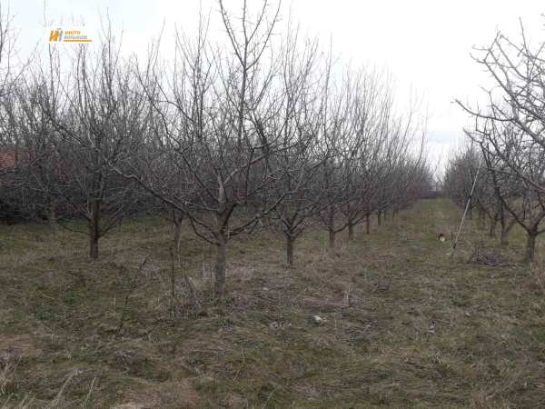 Продава парцел, с. маноя, област габрово