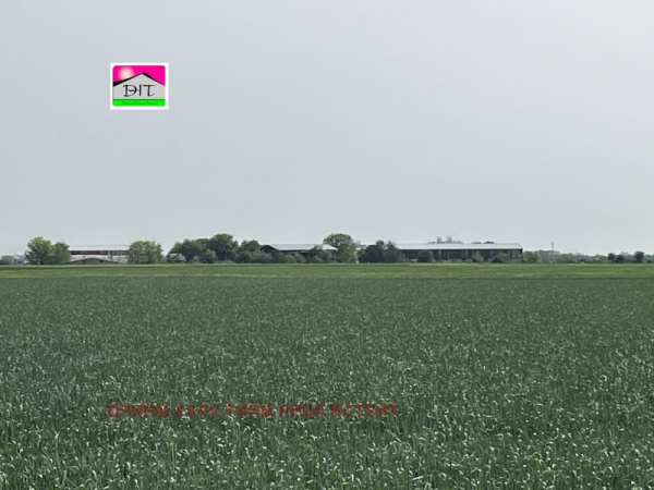Продава  земеделска земя с. Строево, област Пловдив
      4.5 дка