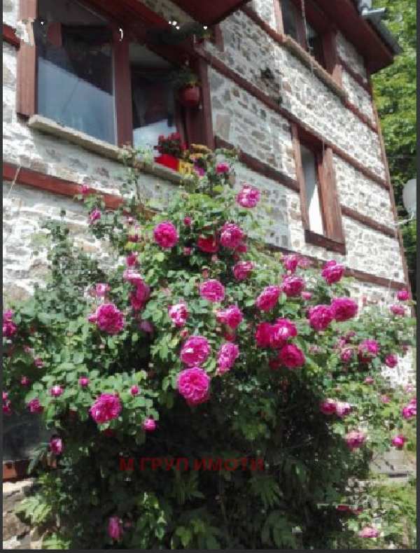 Продава  къща гр. Чепеларе, област Смолян
      84 кв.м