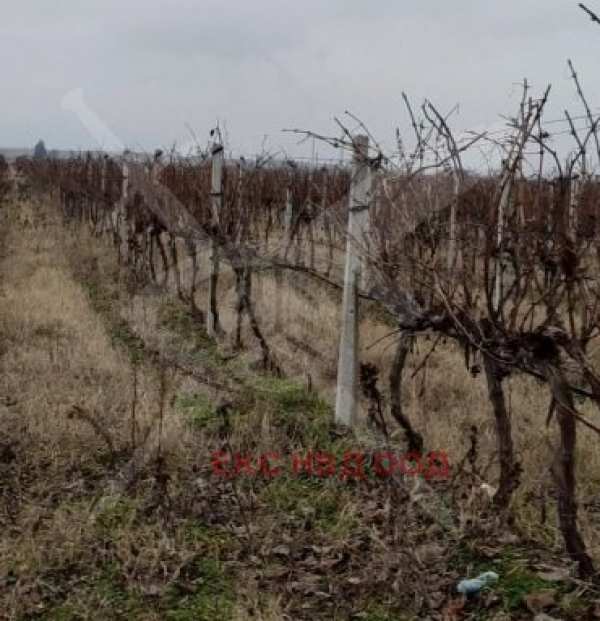Продава парцел, с. цалапица, област пловдив