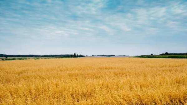 Продава парцел, с. скравена, област софия област