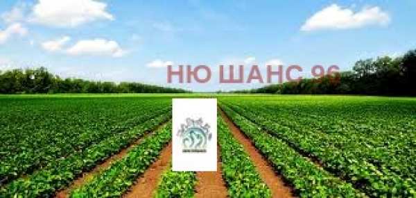 Продава земеделска земя, гр. карлово, област пловдив