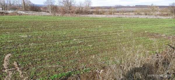 Продава парцел, с. градище, област шумен