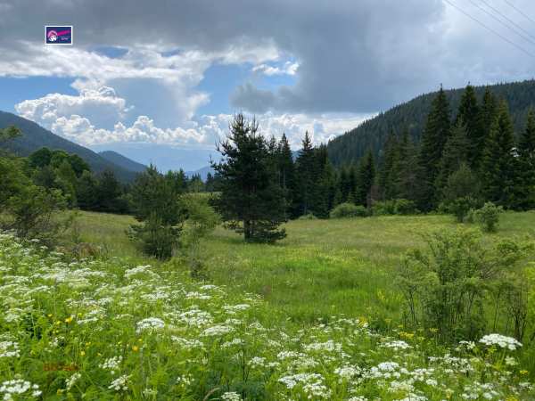 Продава парцел, с. фотиново, област пазарджик