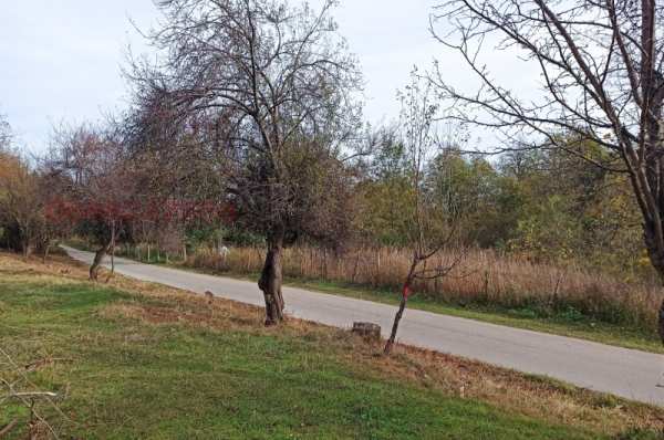 Продава парцел, гр. берковица, област монтана
