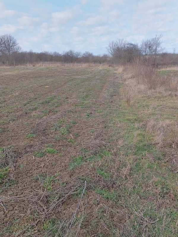 Продава парцел, с. дряновец, област разград