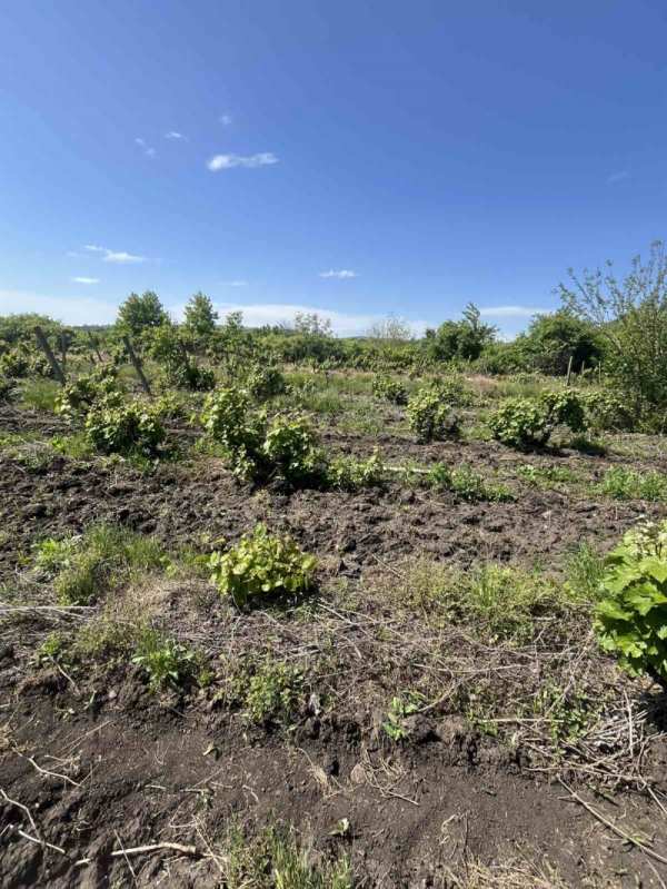 Продава парцел, с. каменар, област бургас