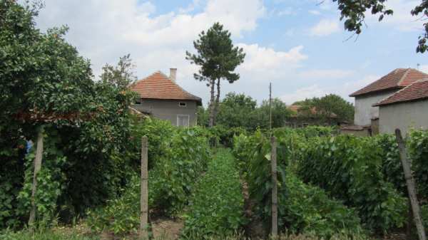 Продава къща, с. манастирище, област враца