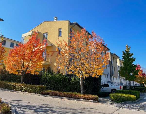 Дава под наем къща, гр. софия, малинова долина