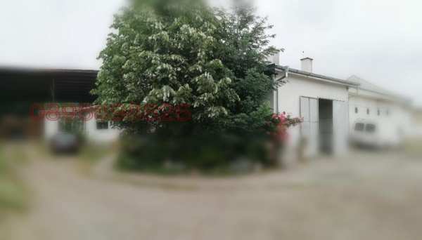 Дава под наем бизнес имот, гр. сопот, област пловдив