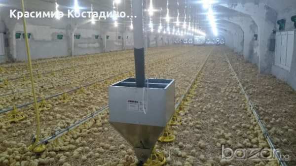 Продавам работеща птицеферма, целия печеливш бизнес