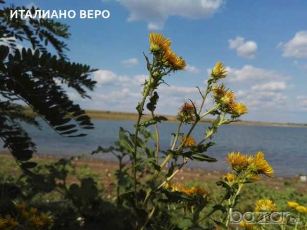 Атрактивен имот до рабишкото езеро