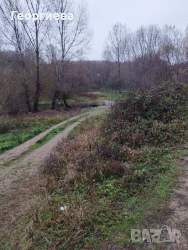 Продавам в с.арчар,обл.видин поземлен имот в регулация