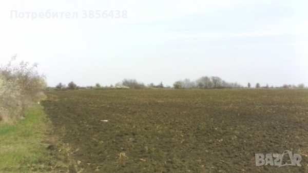 For sale 9500 sqm regulated building plot near sunny beach bulgaria