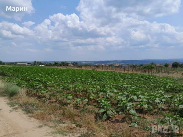 Продавам парцел село здравец