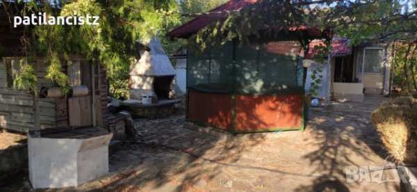 Къща с двор, лозе, басейн, барбекю и бесетка