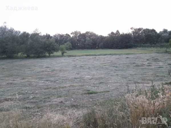 Имот в добринище