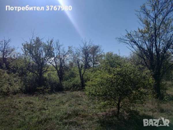 Парцел в гр севлиево